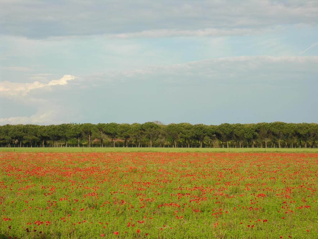 Appartamenti Alaska Bibione Exteriér fotografie